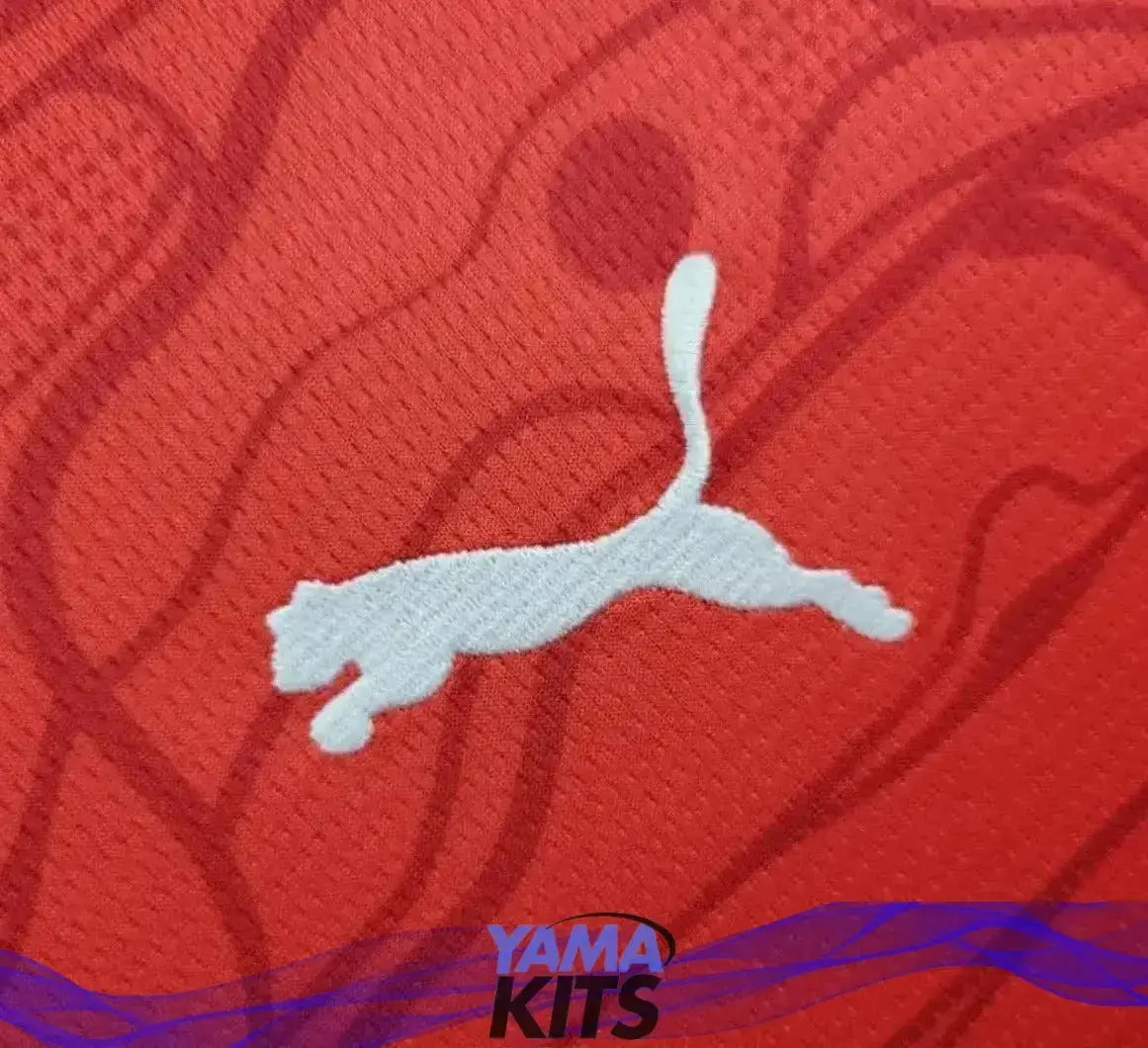 Maillot de l’Autriche Domicile « Rouge » Version Fan 2024/2025 YamaKits Foot