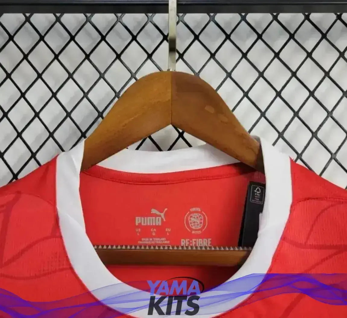 Maillot de l’Autriche Domicile « Rouge » Version Fan 2024/2025 YamaKits Foot