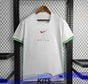 Maillot du Nigeria Domicile Version fan 2024/2025